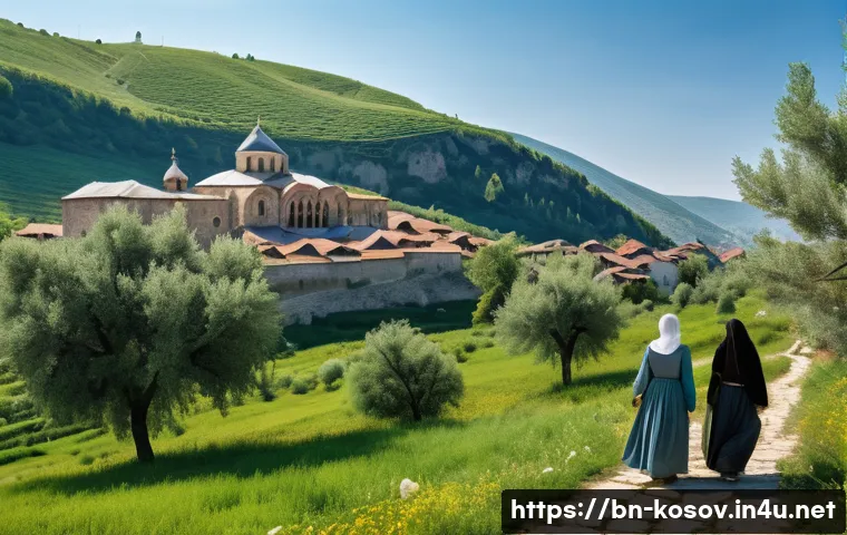 코소보 독립 선언 관련 이미지 2